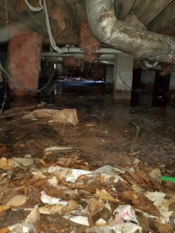 Crawl space flood assessment for Leak Detection & Repair in Florida City